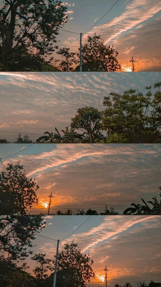 GIF uploaded by Plara