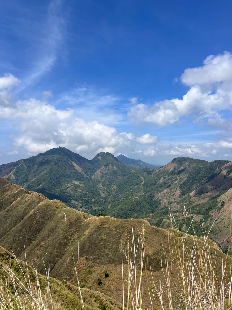 Image uploaded by Thalia