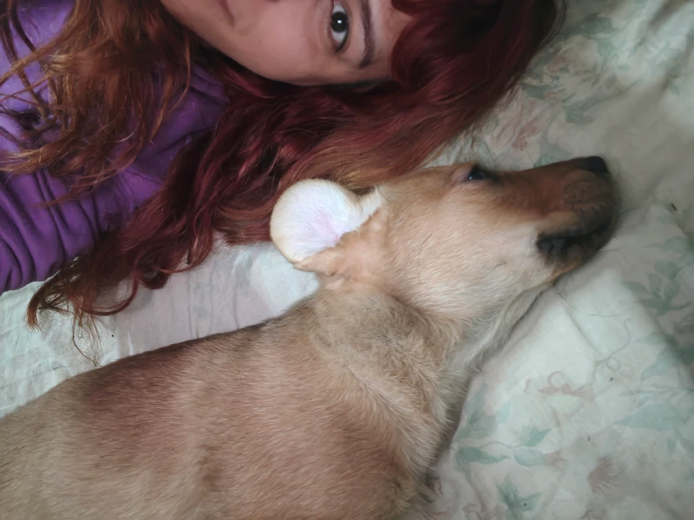 GIF uploaded by Fabiana