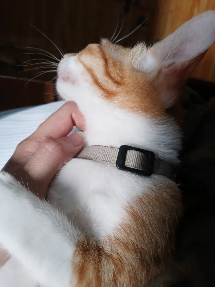 GIF uploaded by s