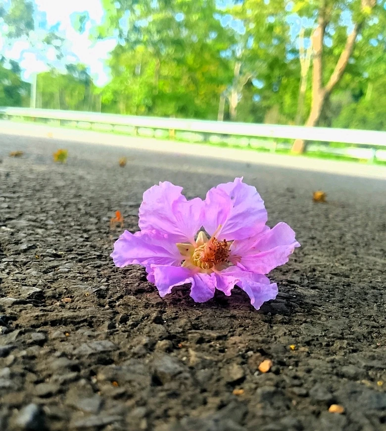 Image uploaded by Love