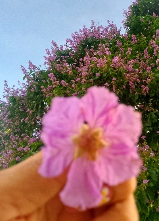 Image uploaded by Love