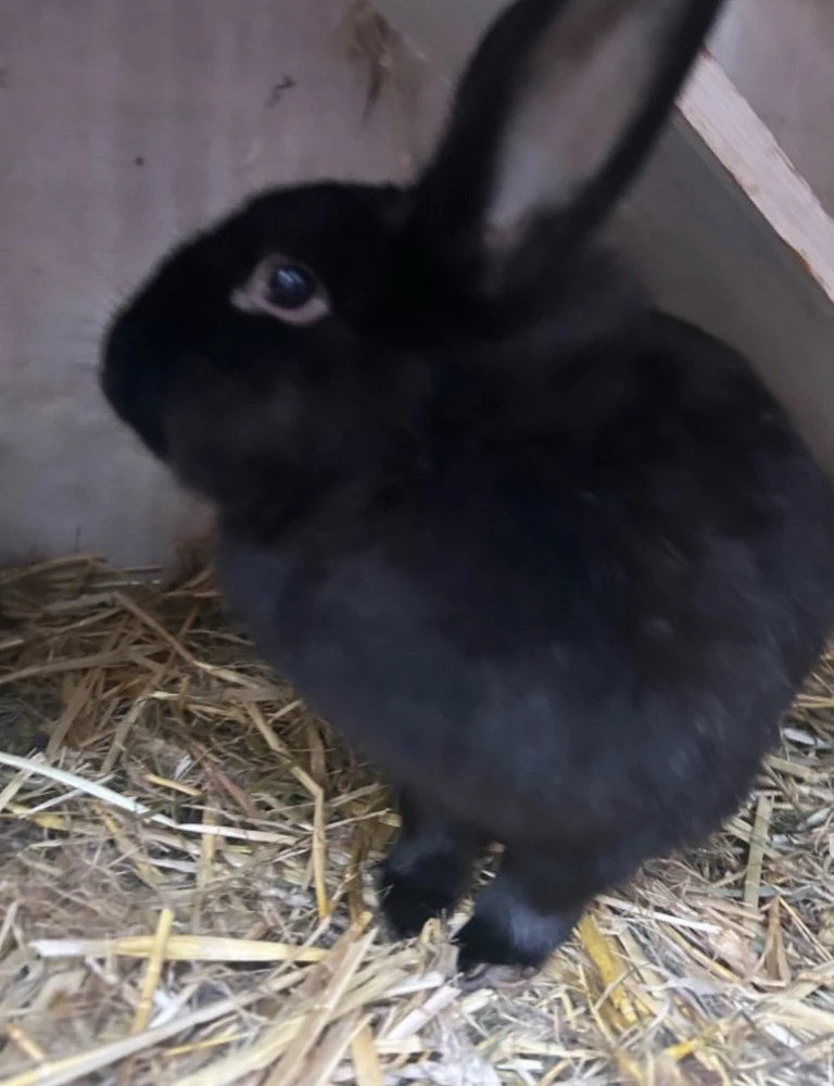 Image uploaded by Freyja