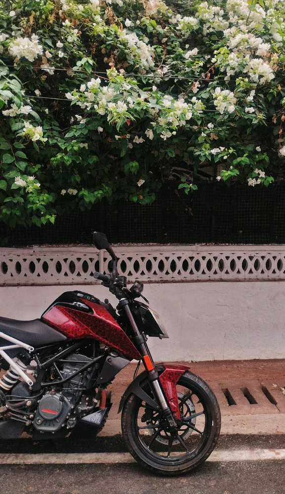 GIF uploaded by A