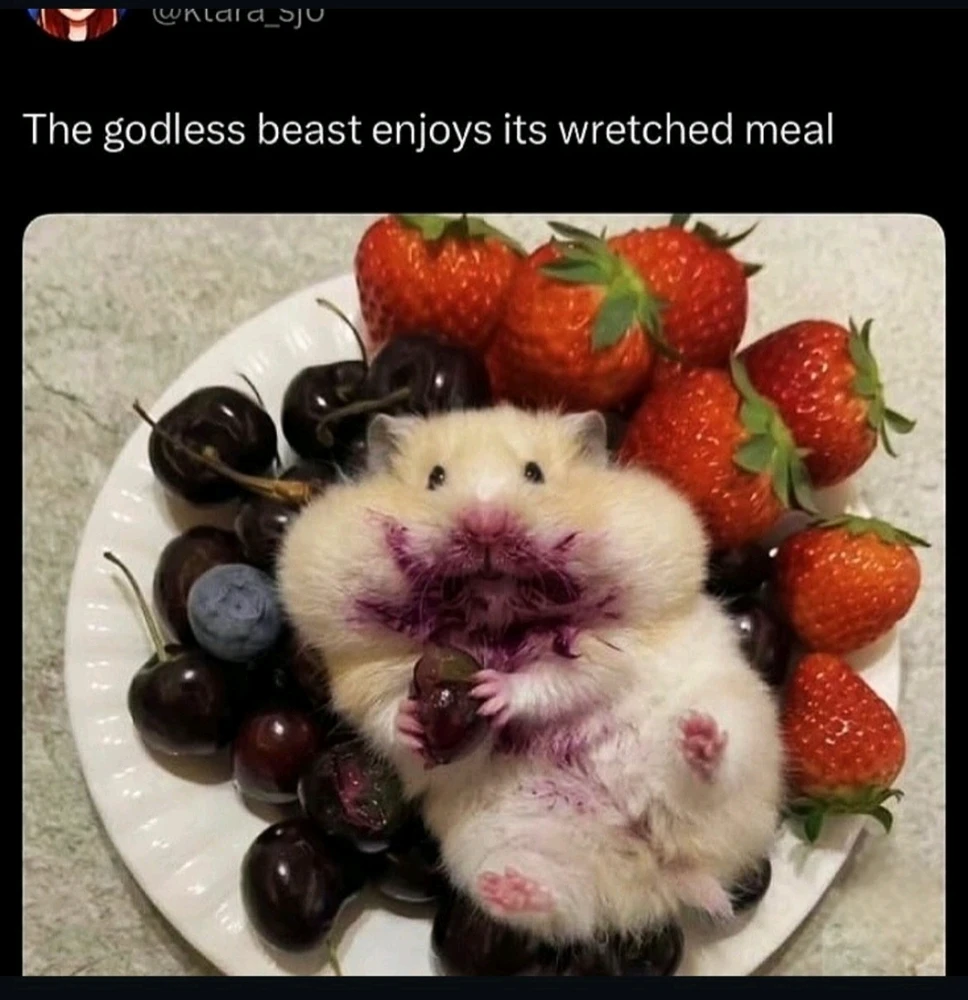 GIF uploaded by Maili