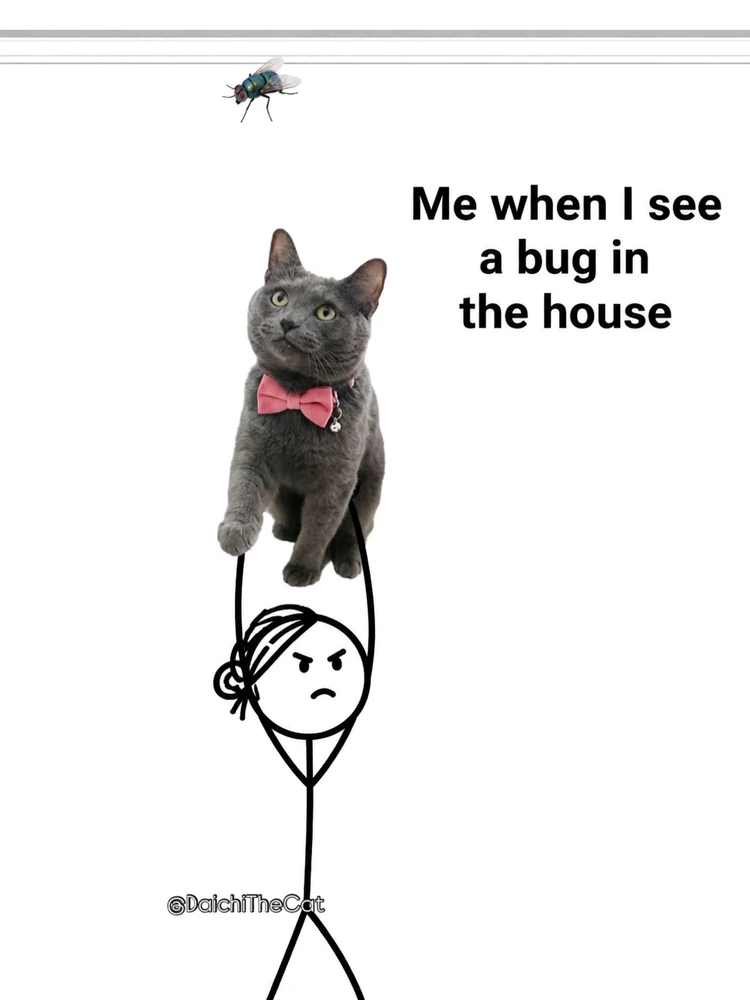 GIF uploaded by Crystal