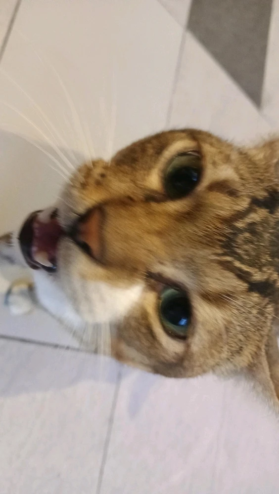 GIF uploaded by Savi