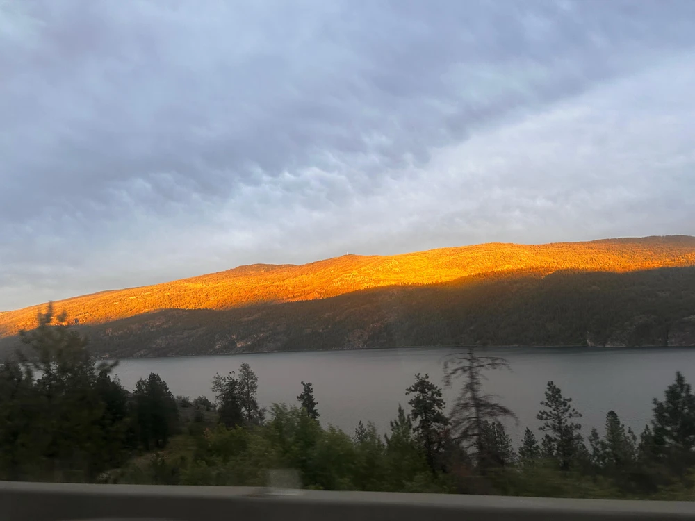 GIF uploaded by Hiral