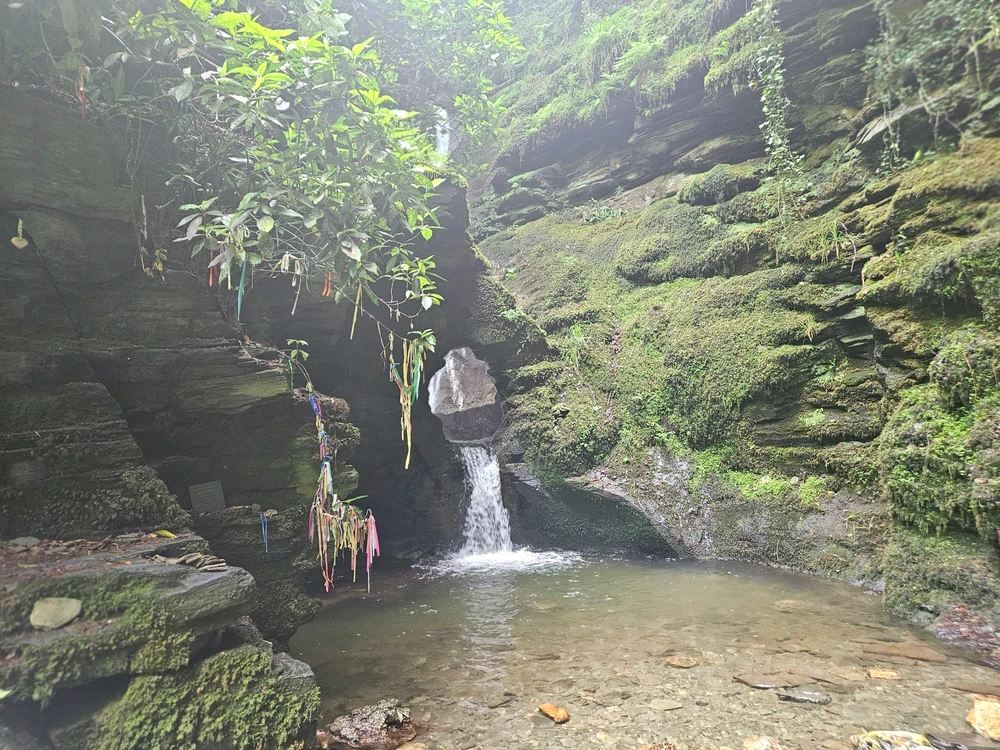 Image uploaded by Franklin