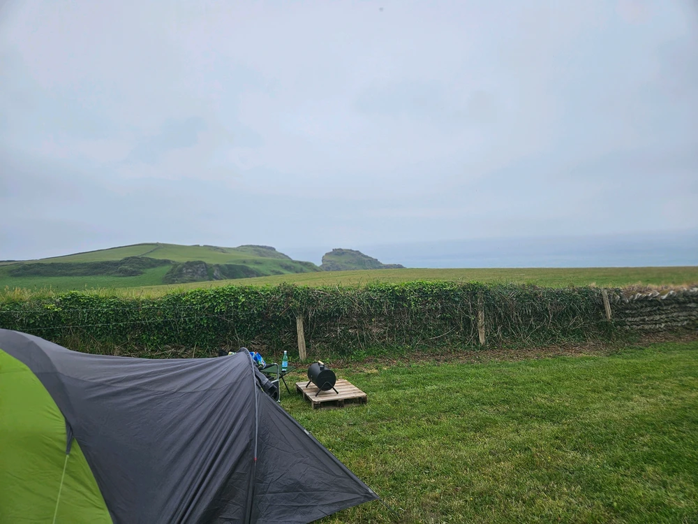 Image uploaded by Franklin