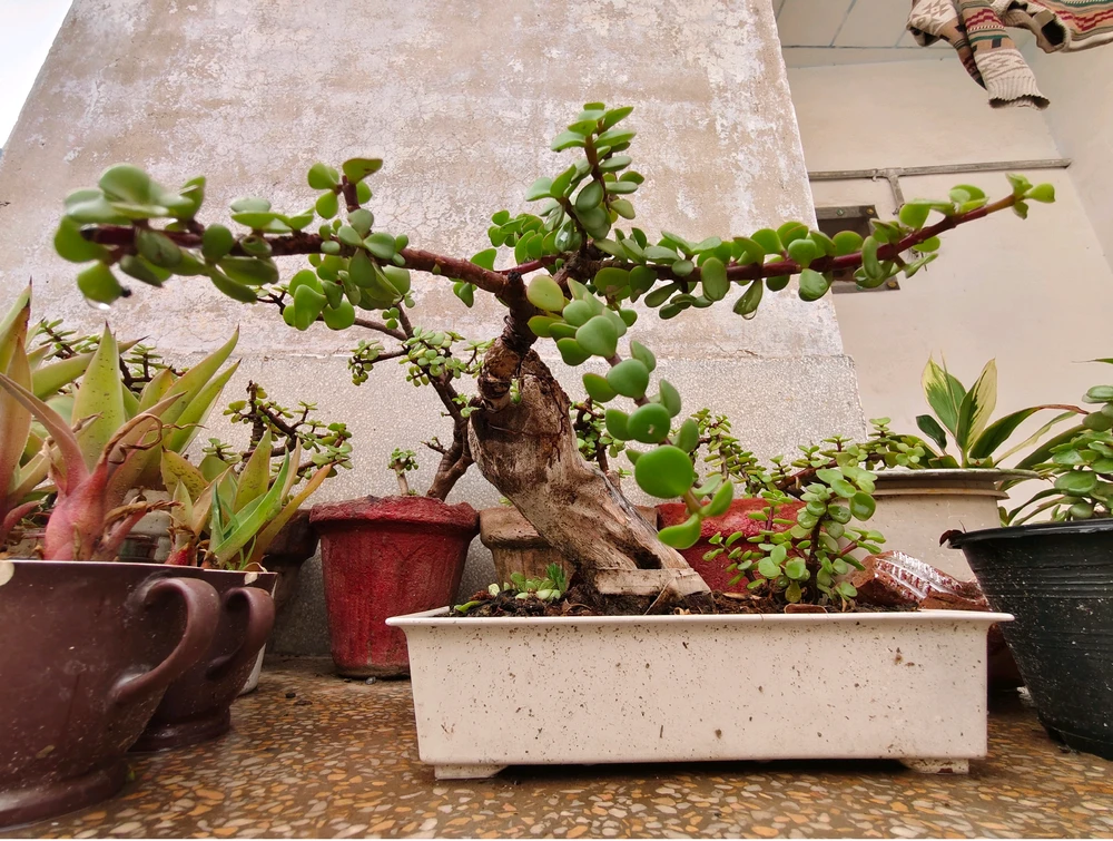 GIF uploaded by Waqas Akram