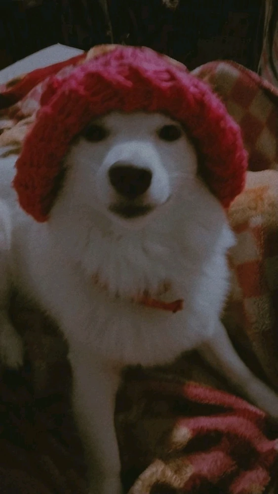 GIF uploaded by Nav