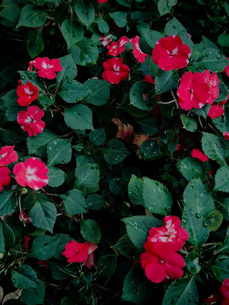GIF uploaded by Braidley