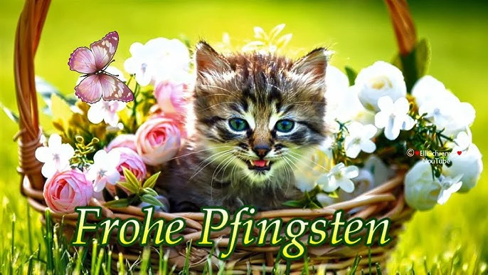 GIF hochgeladen von Jasmin