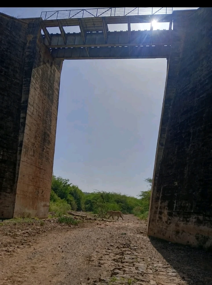 Image uploaded by Mohit