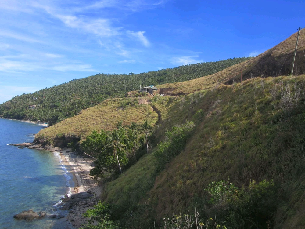 Image uploaded by Rency