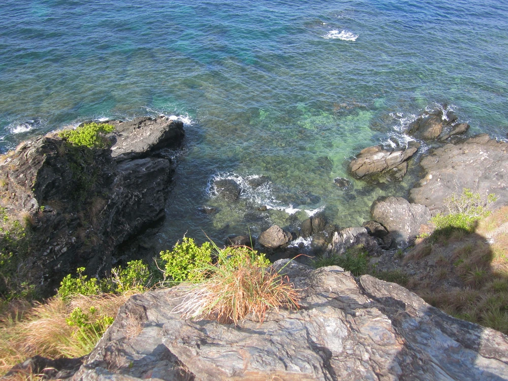 Image uploaded by Rency