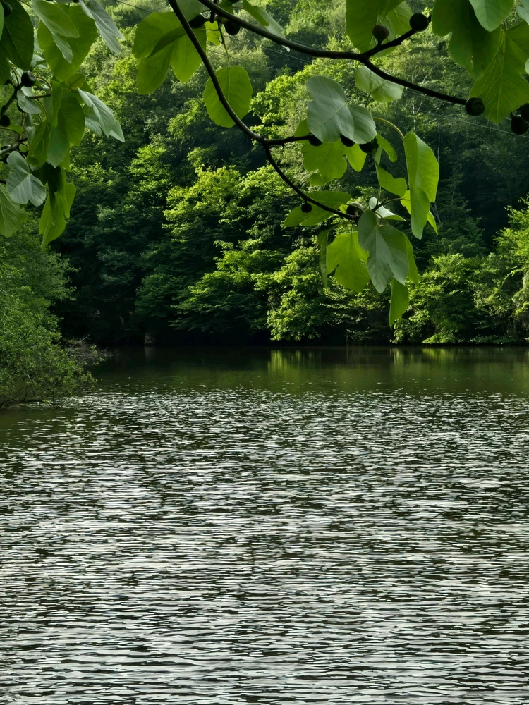 GIF uploaded by Maria