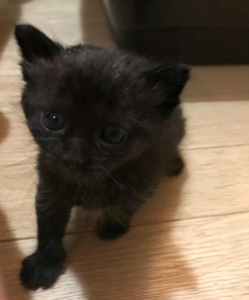 GIF uploaded by Mat