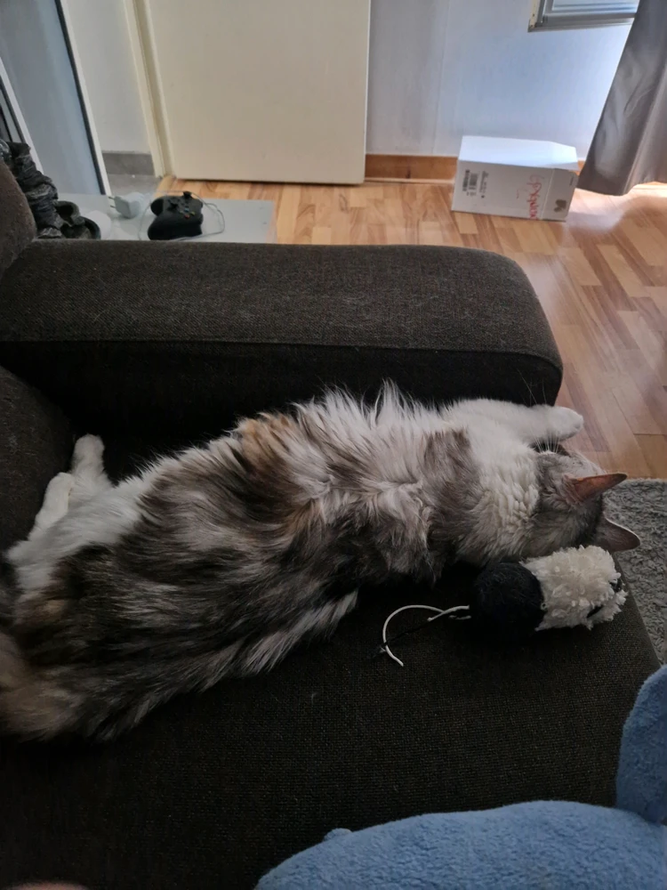 GIF ajouté par Lulu