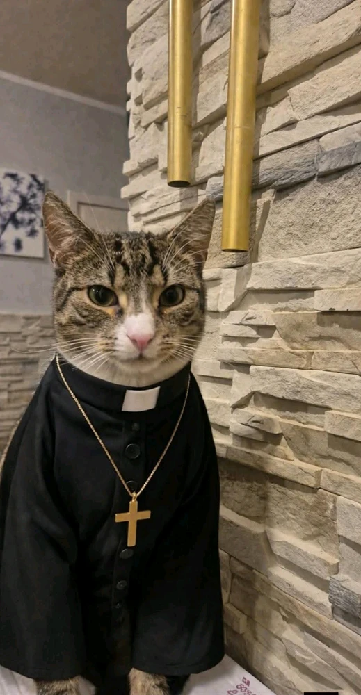 GIF dodany przez avechristusrex