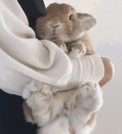 GIF uploaded by Kan(⁠≧⁠▽⁠≦⁠)カンイヤー