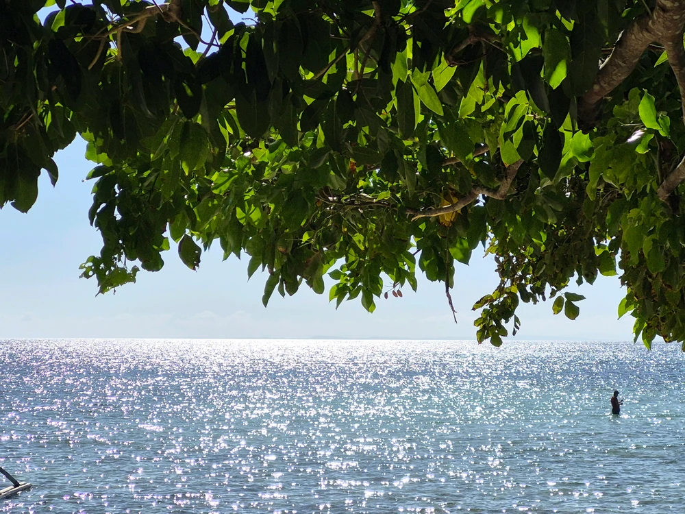 GIF uploaded by Julie