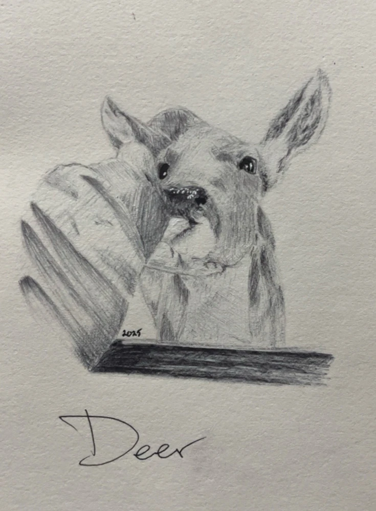 GIF uploaded by Mike