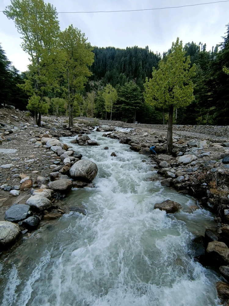 Image uploaded by Zahaab Rasheed