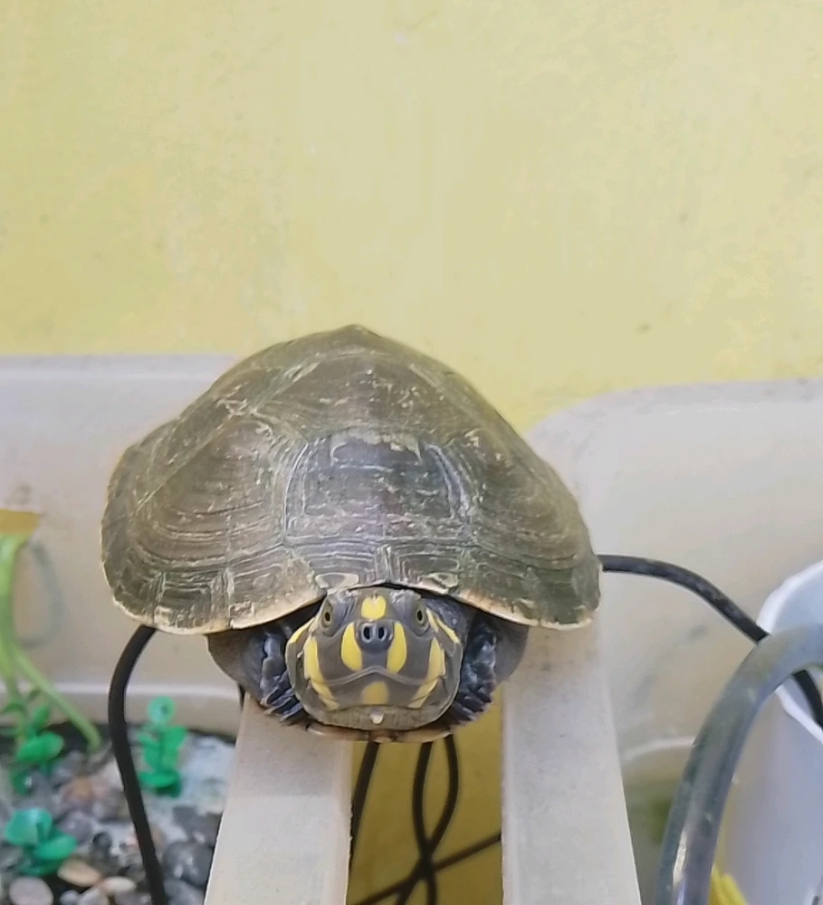 GIF subido por Maria