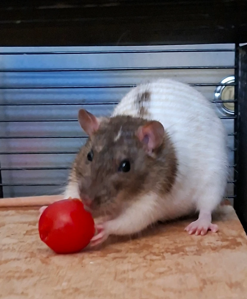 GIF ajouté par Johanna