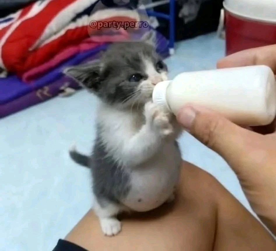 GIF uploaded by Juan