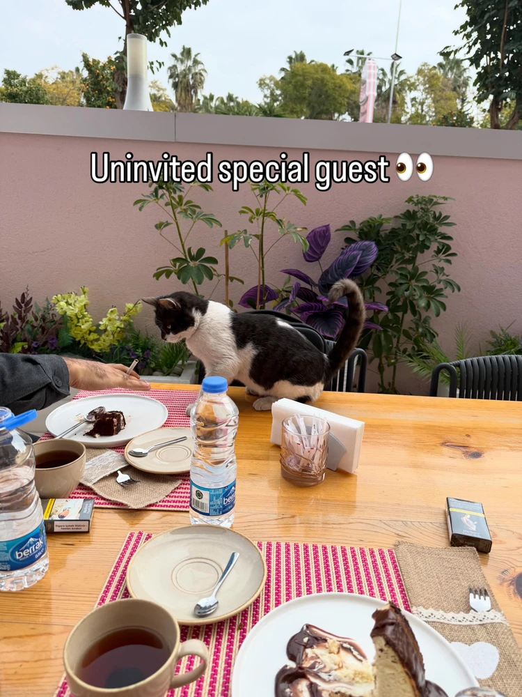 Image uploaded by Humam