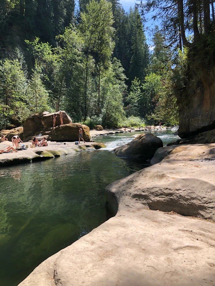 Image uploaded by Erin