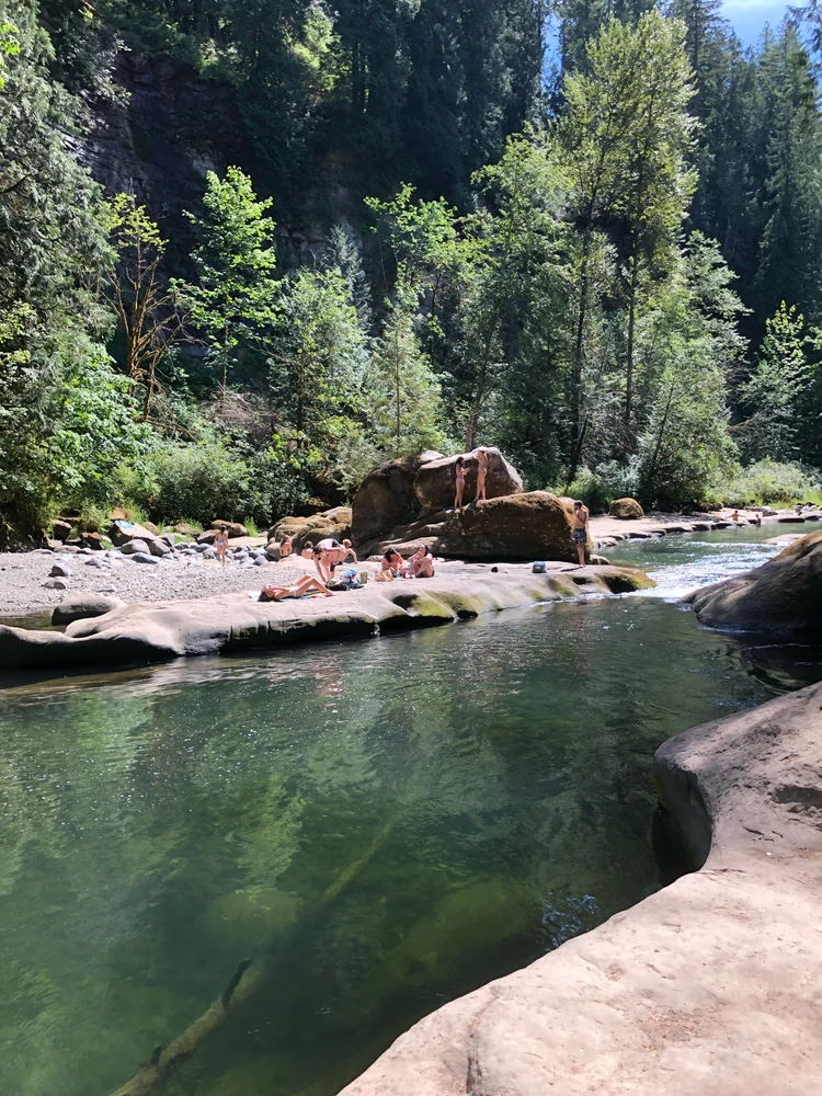 Image uploaded by Erin