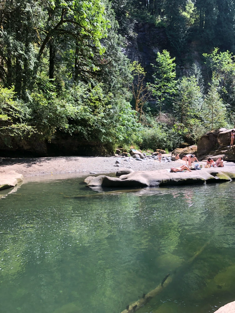 Image uploaded by Erin