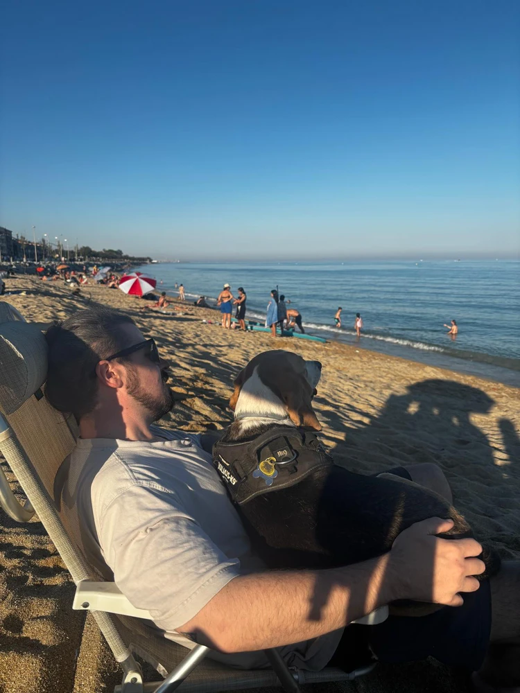 GIF subido por Didac