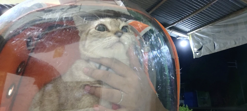 GIF uploaded by Ulann