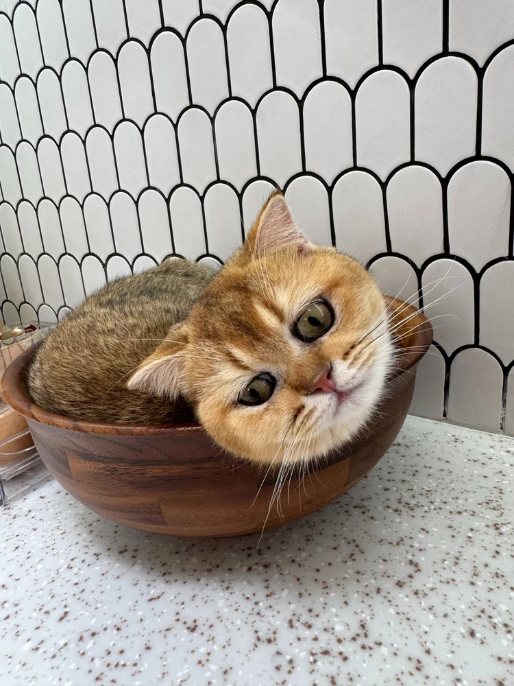 GIF uploaded by Emma