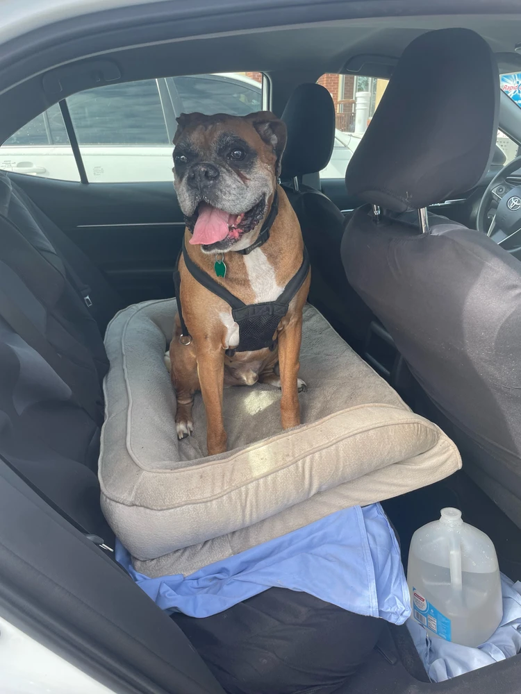 Road trip!