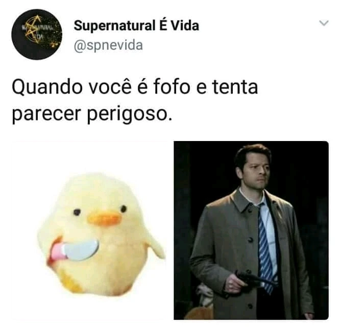 Imagem enviada por Meury