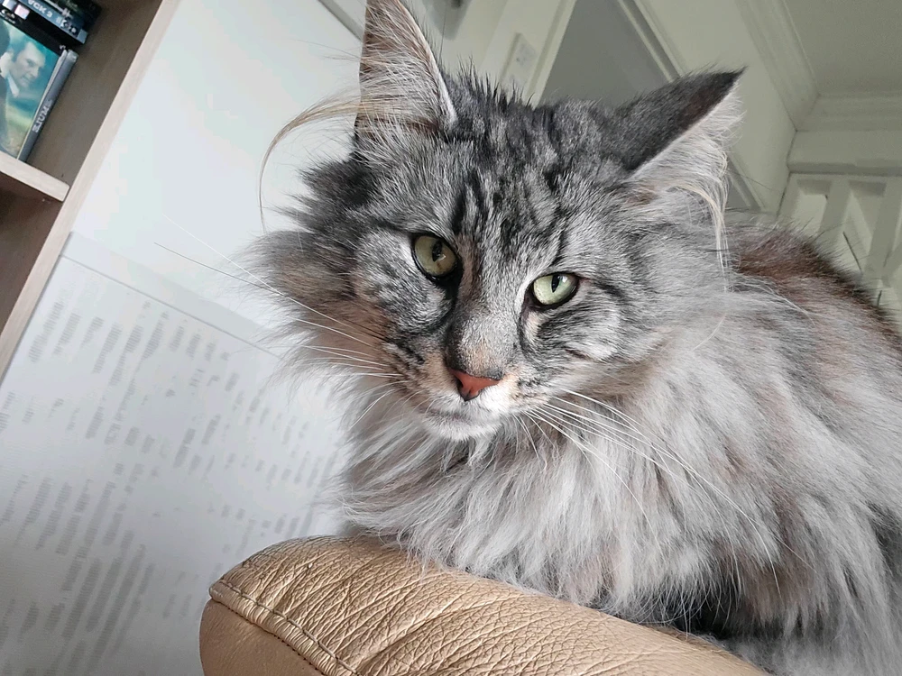 GIF ajouté par Babou