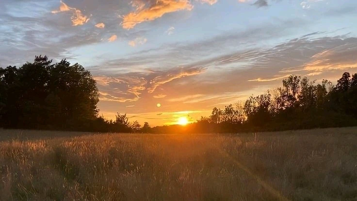 GIF uploaded by „Lord"