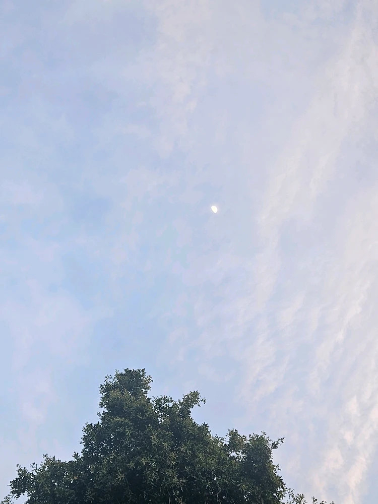 GIF uploaded by Dilon