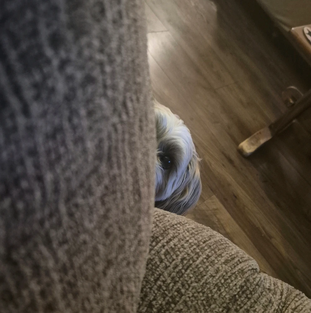 GIF uploaded by Mat