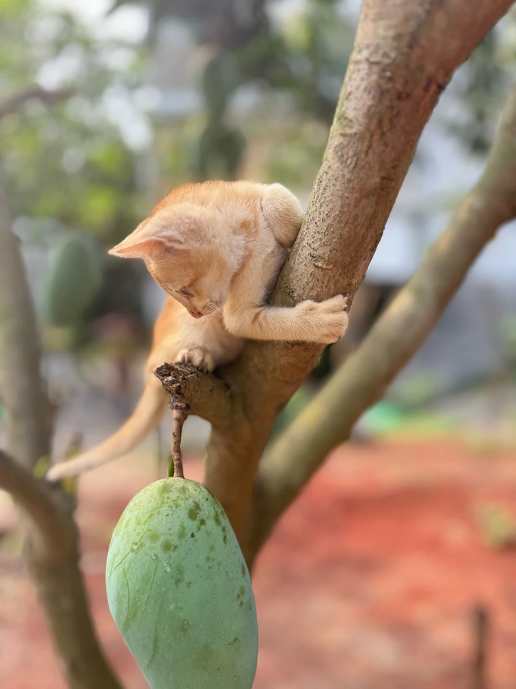 GIF uploaded by Hemail