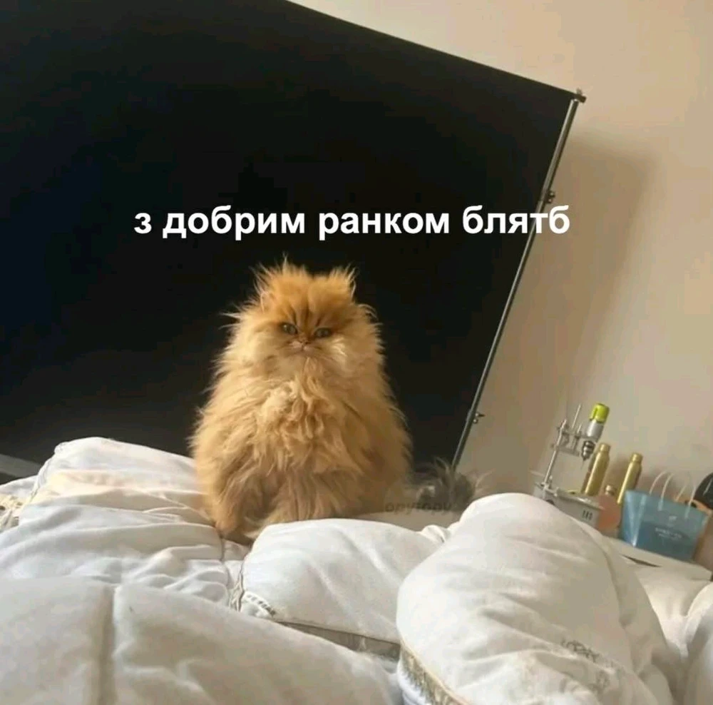 Гіфку завантажив Ярися