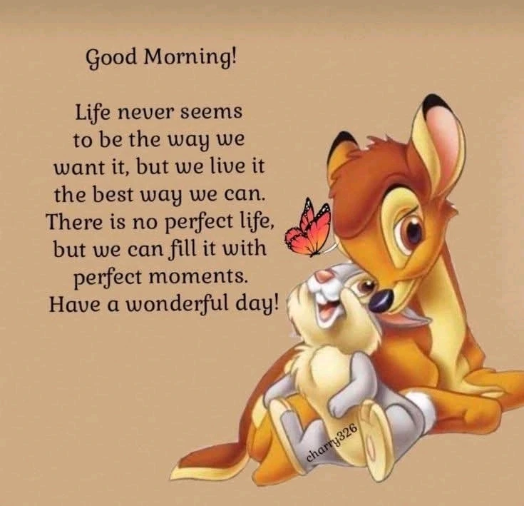 Image uploaded by S