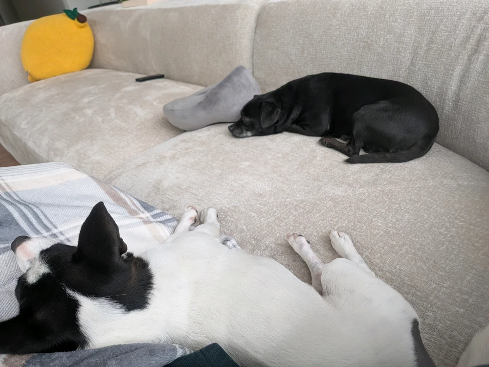 GIF uploaded by Bry