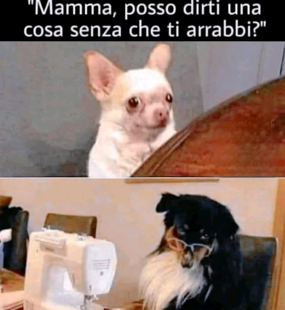GIF uploaded by Andrea